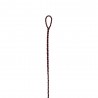 Standard Flemish -jänne